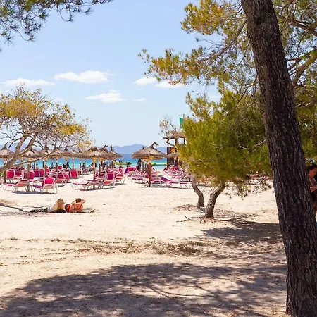 Apartamento Valent Apartment Port de Alcudia (Mallorca)